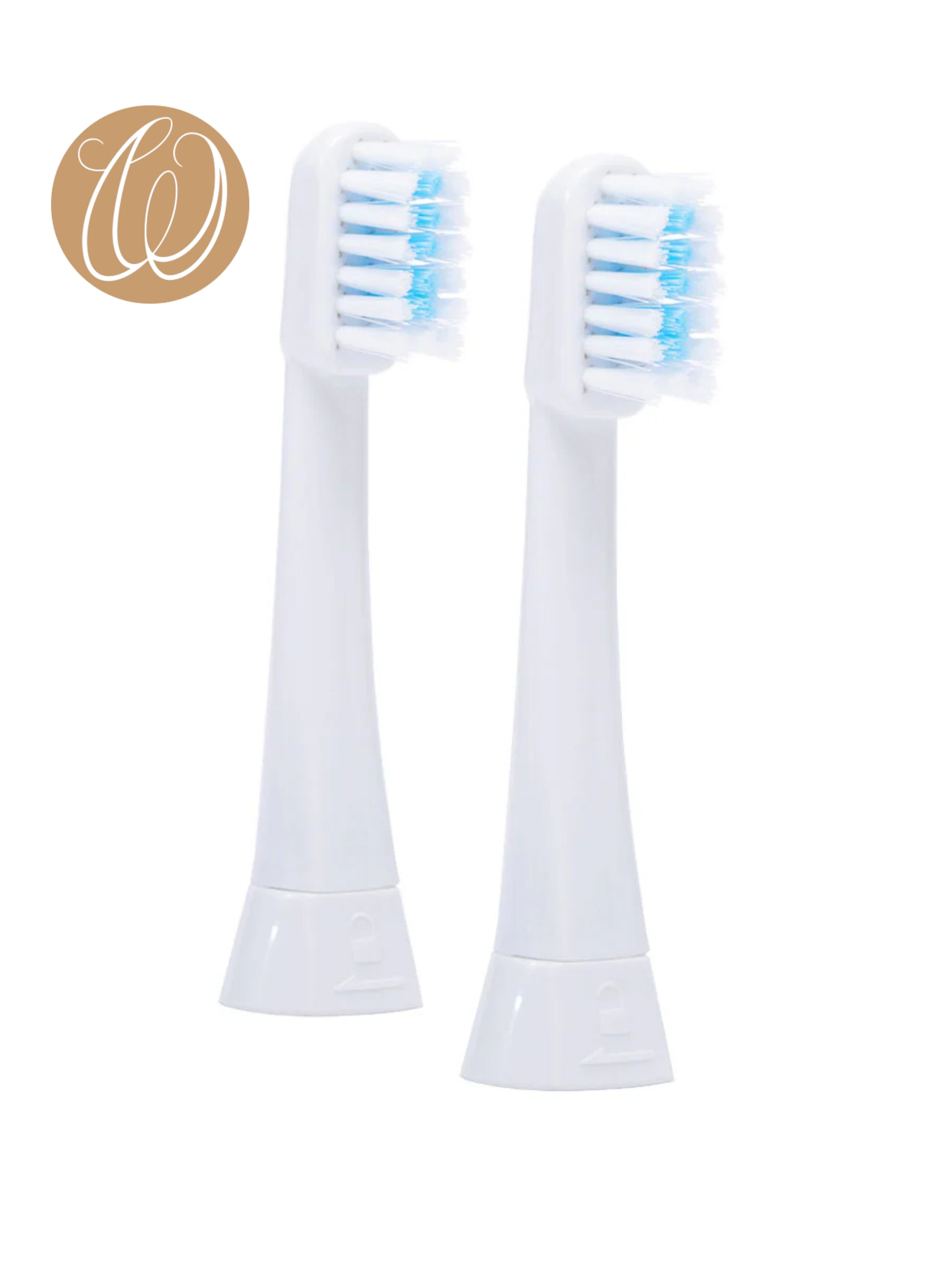 Megasonex Bürstenkopf medium flach wicos Shop